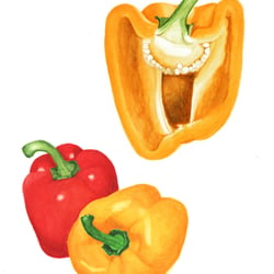 Paprika