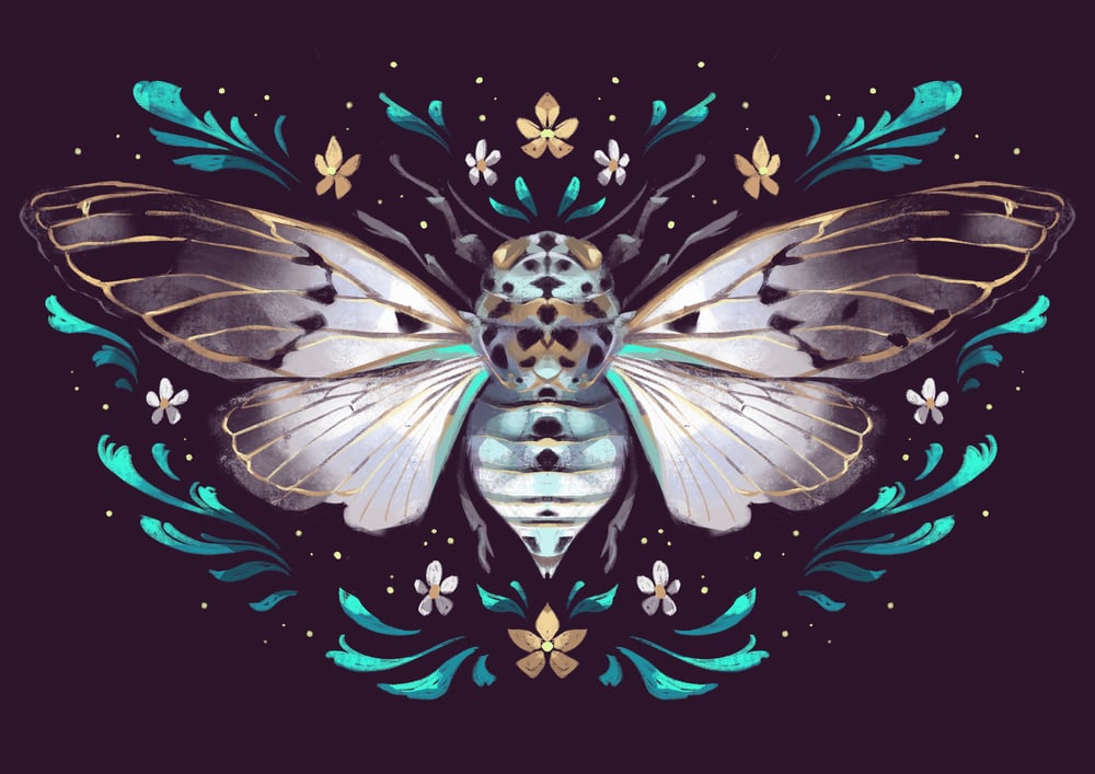 White Ghost Cicada