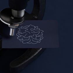 Transimmune Identity Design