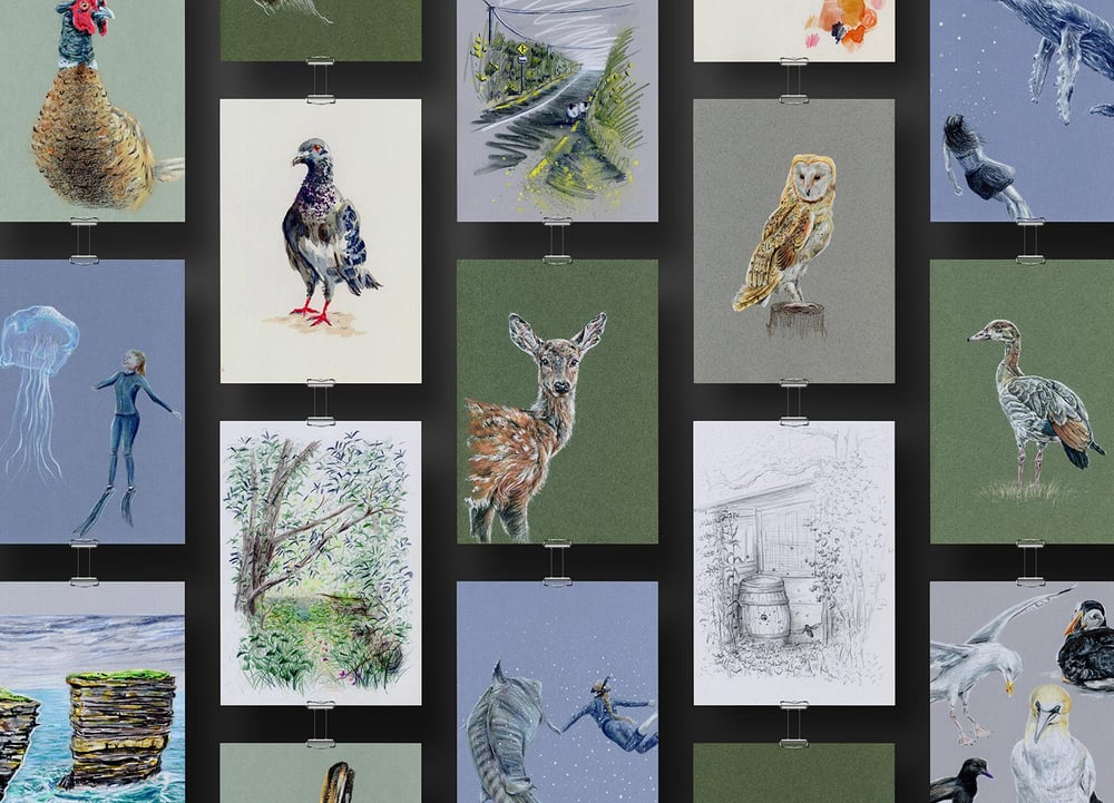 Übersicht – Naturillustrationen in verschiedenen Stilen