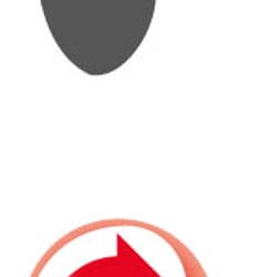 a3