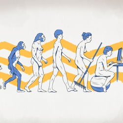 Human Evolution