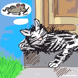 ‚PET‘