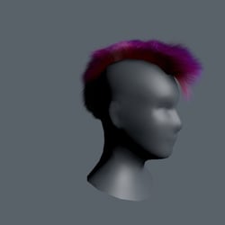 Irokese Profil