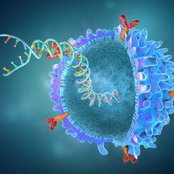 | Cb3D | Medizin