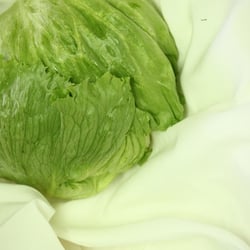 Eisbergsalat Nov. 2012