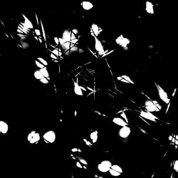 Denn das Licht stammt vom Guten und ist ein Bild der Güte. – Dionysius Areopagita