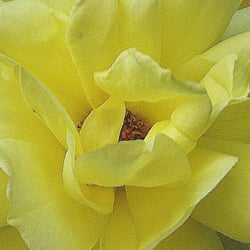 DSC02359