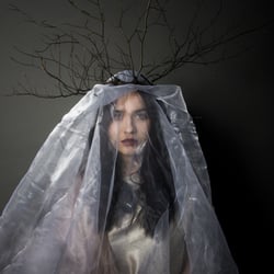 Die wilden Frauen