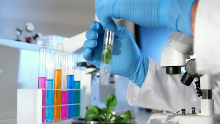 Lab Experiment