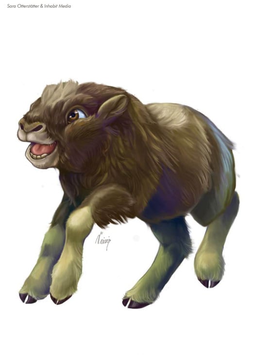 muskox-calf-final