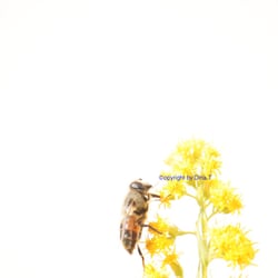 Nature 2014 – Foto Übung..