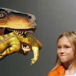 Reptil