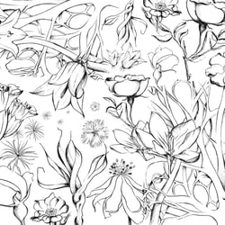 Illustration für Schaufenster – Teil