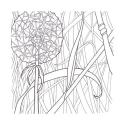 Pusteblume