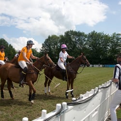 polo bs kl 12
