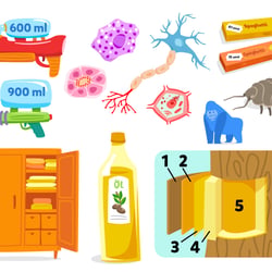 Illustrationen für Lern-App „scoyo“