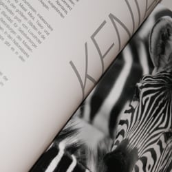 Vitam Designmagazin
