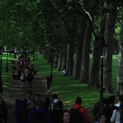 crowded park lane