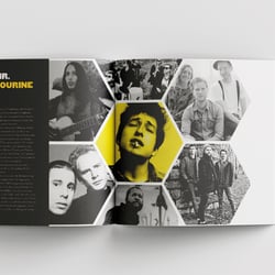 Bees of Belfast – Grafikdesign-Projekt