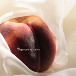 Food 23.08.14