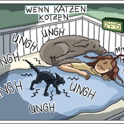 Kotzen