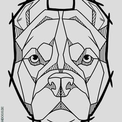 Splitterhunde – Pitbull – Shop Design – DemonDogs