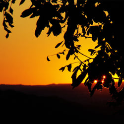 Abendstimmung September