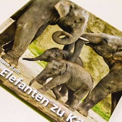 Elfeantenbuch Zoo Köln