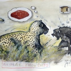 Leopard Affe