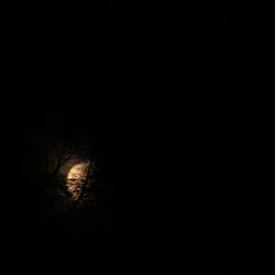 The Moon 2013 by Dina. T
