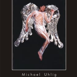 Silberengelflügel von Michael Uhlig