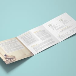 portfolio-faltblatt innen-goldriss