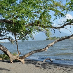 NicaragSee