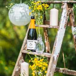 Sommershooting für GEILE WEINE