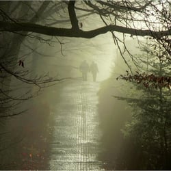 Spaziergang im Morgennebel