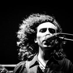 Concert Portfolio
