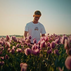 Imagefilm Sölls Hof
