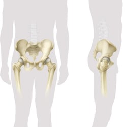 Topografie Pelvis