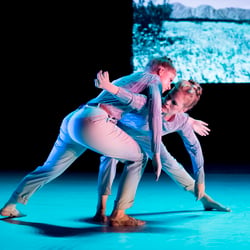 Performing, Moving, Imaging Landscapes