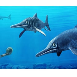 ophthalmosaurus—(Grupo Macmillan—Argentina 2013)