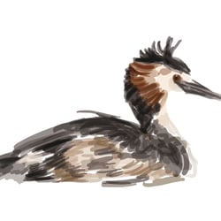 Vogel 4