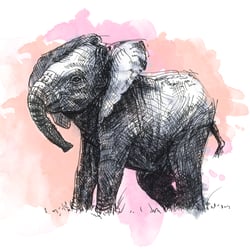 Elephant ink