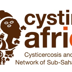 Corporate Desing Cystinet Africa