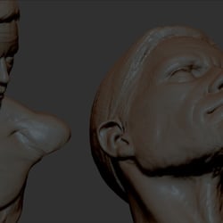 digital Sculpts