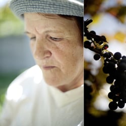 Uvas 13