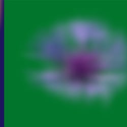 2 Blumen