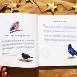 Cover and content of the self-published book“Pinta con Karina: pajaritos chilenos”, 2019.