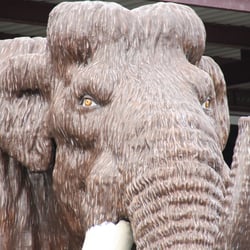 Close-Up