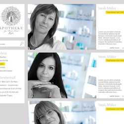 apoweb team